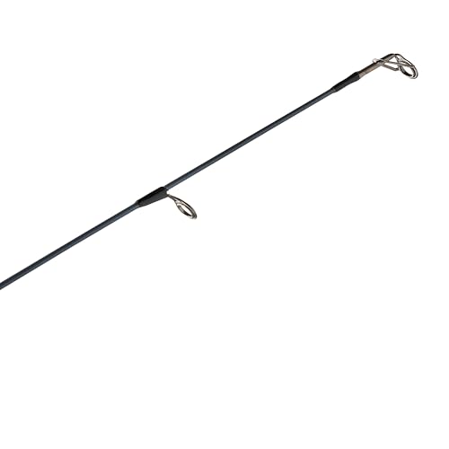 Pflueger President Spinning Fishing Rod