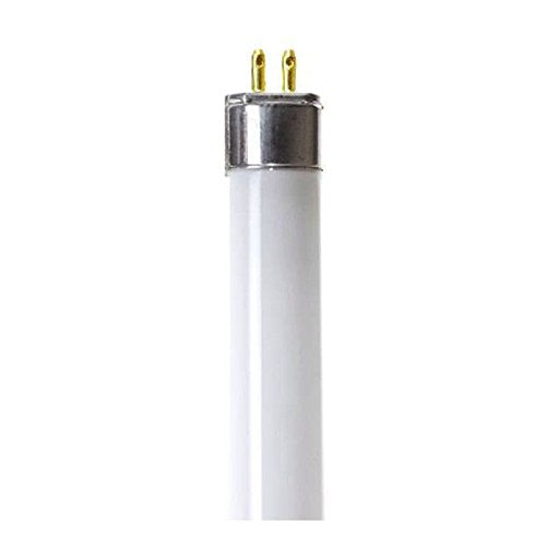 Circle (6 Pack) F13T5/WW - T5 Fluorescent 3000K Warm White - 21" Linear - 13 Watt T5 - Under The Counter Light Bulbs