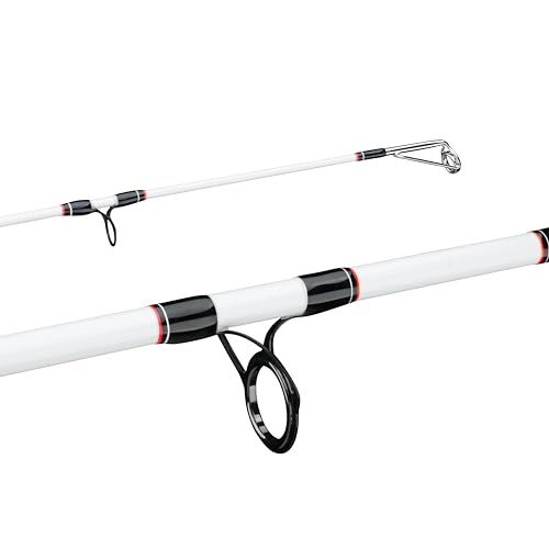 Berkley Big Game Spinning Fishing Rod