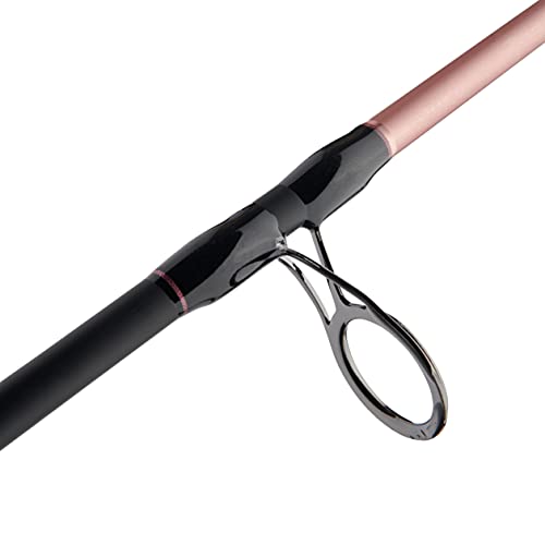 Penn Passion II Spinning Reel and Fishing Rod Combo