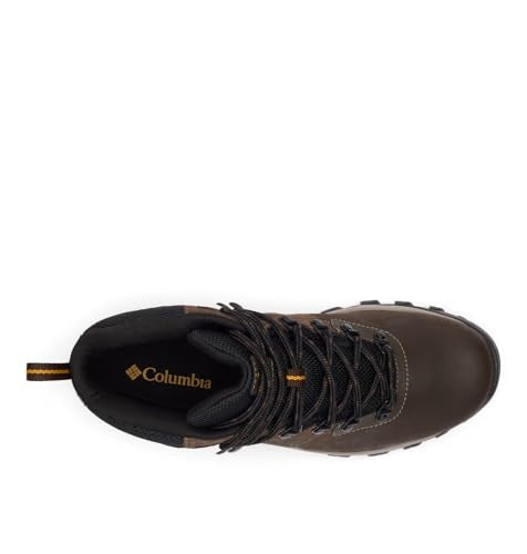 Columbia Men's Newton Ridge Plus Ii Waterproof Hiking Shoe