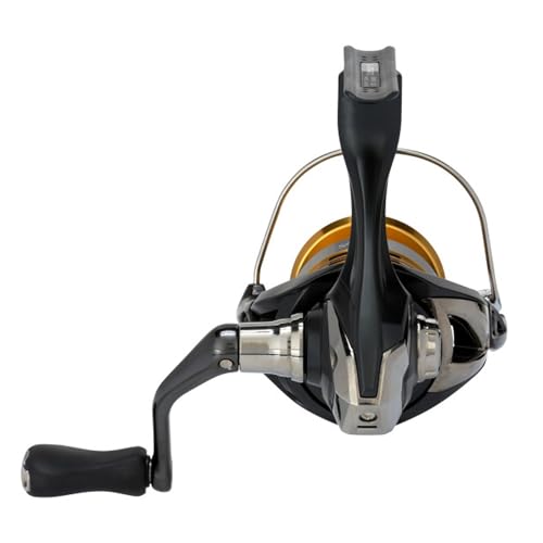 Shimano Sahara FJ Spinning Reel