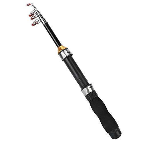Fishing Rod, Universal Mini Small Sea Pole Portable Short Pole Ice Fishing Rod Mini Pocket Sea Fishing Tools for Ice Fly F...