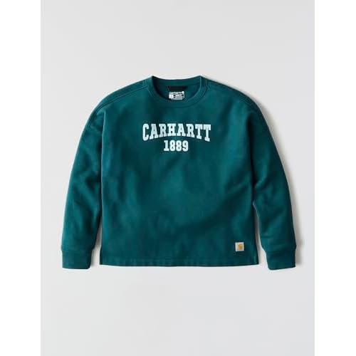 Carhartt womens Loose Fit Midweight Graphic Sweatshirt