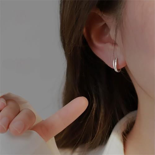 Women's 925 Sterling Silver Thick Earrings, With Small And Exquisite Cubic Zirconia Ring Earrings, Lightweight And Hypoall...