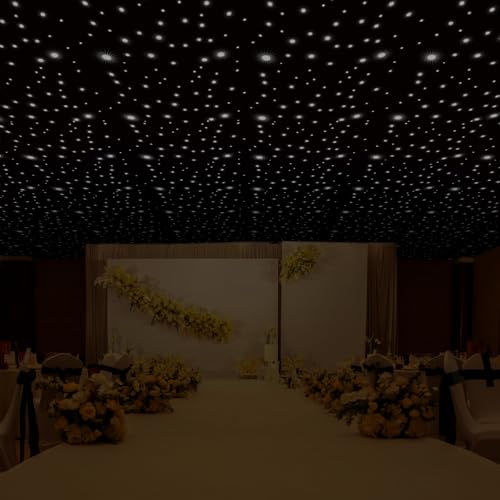 LED Star Curtain Backdrop Light,DMX512 Control White Colors LED Galaxy Props Night Sky Stars Starry Lighting Background fo...