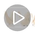 FANTESTICRYAN Small Birds Statues Gold Home Decor Modern Style Figurine Decorative Ornaments for Living Room, Bedroom, Off...