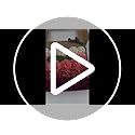 AmyHomie Artificial Flower Dark Red Rose 25pcs Real Looking Fake Roses w/Stem for DIY Wedding Bouquets Centerpieces Arrang...