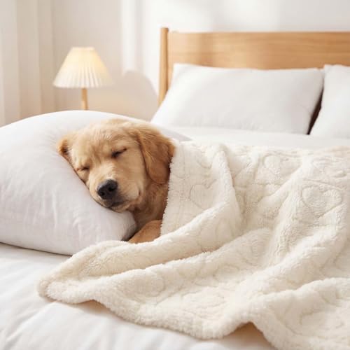 Tegeme 3 Pcs Small Dog Blanket 280 GSM Washable Pet Bed Cover Soft Fluffy Puppy Blanket 3D Textured Heart Checkered Patter...
