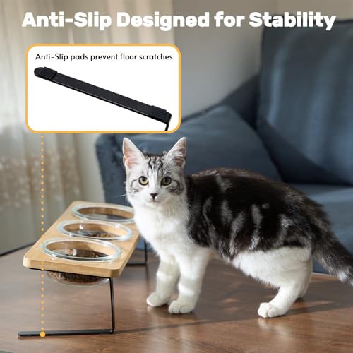 Lawfery Elevated Cat Bowls, 15° Tilted Cat Food Bowl, Includes 3 Glass Bowls, Bamboo Board, and Metal Stand for Cats and P...