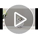 Owl Statue for Home Decor Accents,Owl Decor for Bookshelf Bedroom Living Room Office Table Desk Mantle TV Stand Boho Decor...
