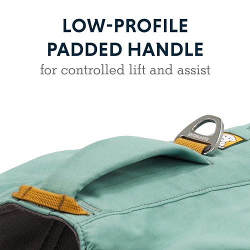 Ruffwear, Front Range Dog Day Pack, Backpack with Handle for Hikes & Day Trips, River Rock Green, Medium