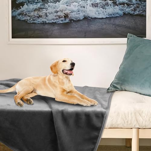 Onarway Dog Blanket Washable for Puppy: 4 Packs Dog Blankets 40”x28” - Fluffy Soft Small Throw for Cat Puppy Kitten Dogs -...