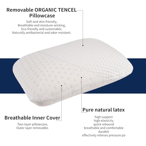 Talatex 100% Natural Premium Talalay Latex Travel Pillow, Camping Pillow, Small Camping Pillow with Compressible Stuff Sac...