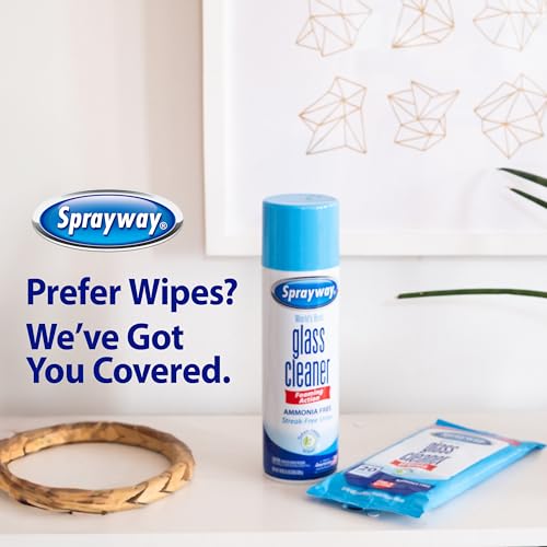 Sprayway Glass Cleaner Foaming Aerosol Spray, 19oz, Pack of 2 | Ammonia-Free, Streakless, Fast-Acting | Cleans & Polishes ...