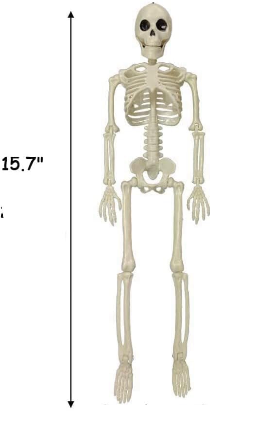 Daricano Halloween Decoration Outdoor Skeleton, 16" Plastic Posable Skeleton with Movable Joints, Small Hanging Skeletons for Halloween Decor, Haunted House Graveyard Props