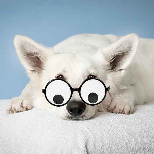 Googly Eyes Glasses, Funny Glasses Pranks Toy, Novelty Shaking Giant Eye Glasses, Funny Costume Accessories for Dress Up Party, Halloween or Birthday Party Favors, Party Supplies £¨6PCS£©