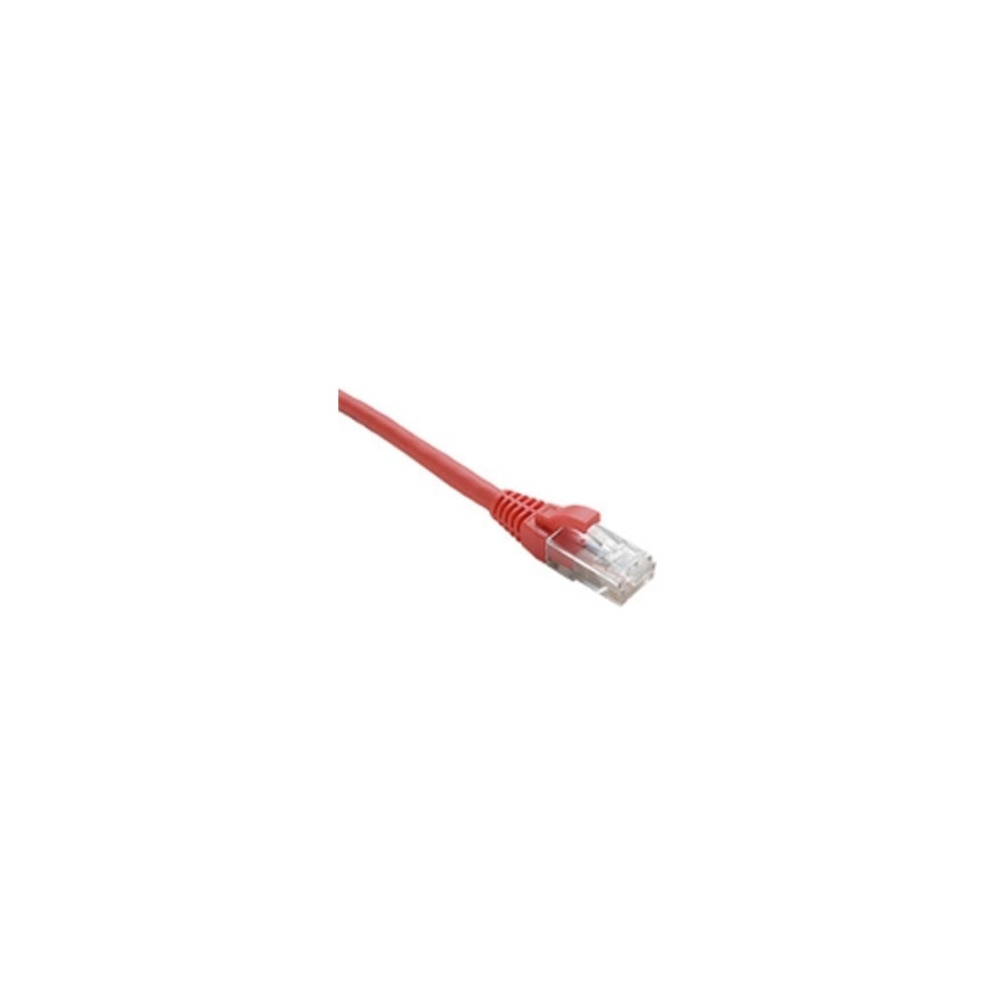 25Ft Purple Cat6 Patch Cable, Utp, Snagless