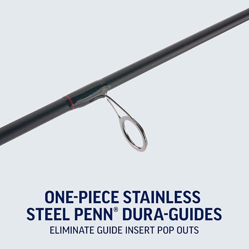 Penn Fierce IV Spinning Reel and Fishing Rod Combo