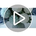 NAWEIDA Artificial Flowers with Vase Faux Hydrangea Flower Arrangements Table Centerpieces for Home Garden Party Wedding D...