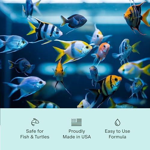 Aquarium & Pond Water Conditioner – Instantly Detoxifies Tap Water for Fish - Removes Ammonia, Chlorine, Chloramine - New ...
