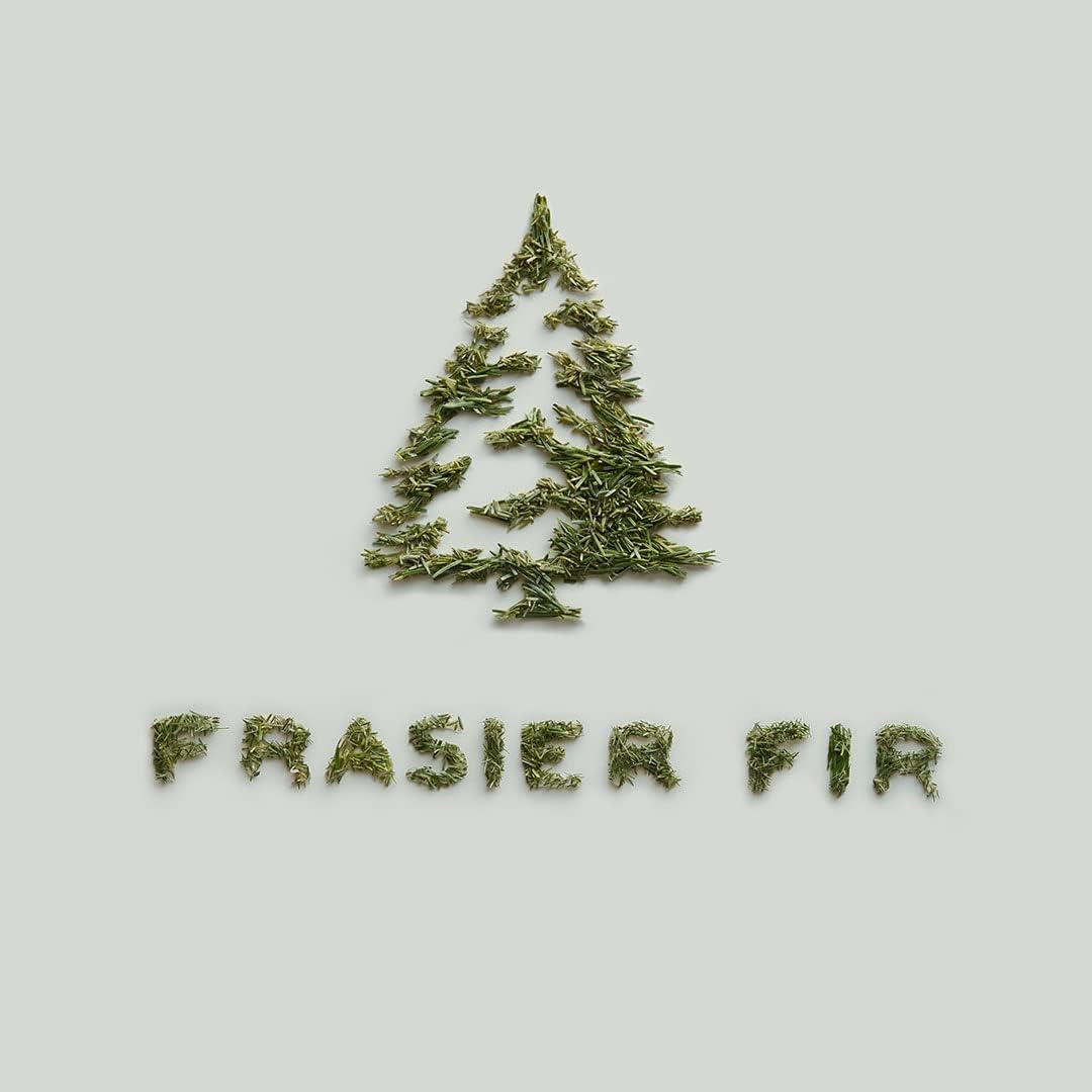 Thymes Frasier Fir Reed Diffuser Set – Includes Reeds, Fragrance Oil, and Frosted Glass Bottle – Fragrance Oil Diffuser – Room Fresheners – Luxury Home Decor – Silver (Statement, 4 fl oz)