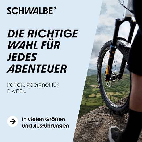 SCHWALBE Albert Tire - 29 x 2.50, Tubeless, Folding, Black, Evolution Line, Gravity Pro, Addix Soft, Radial, E-50