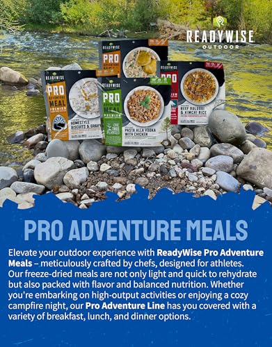 ReadyWise Outdoor Pro Adventure Meal - Beef Stroganoff Pasta with Cream Sauce, 2 Servings, 1 Pouch, 720 Calories, 40g Prot...