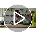 RYOBI ONE+ 18-Volt Lithium-Ion Cordless Mister with 2.0 Ah Battery and Charger Included Green