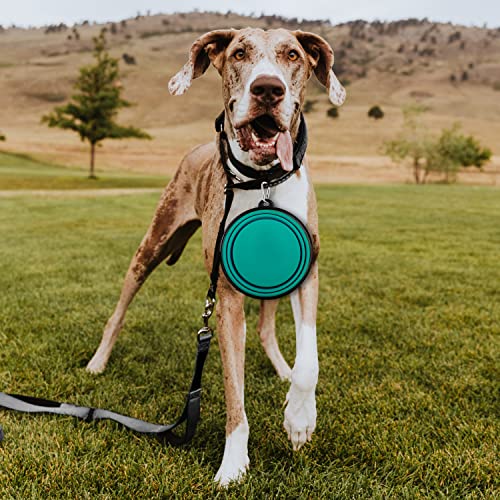 Collapsible Dog Bowls-2 Pack Large Size for Large/Medium Dogs, Pet Travel Water Bowl, Dogs Cat Portable Water Bowl, Dog Pe...