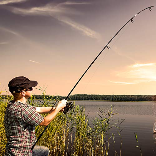 Cadence Fishing Combos with 10+1 Stout Spinning Reel Bundle + 1PCS 6.6ft Essence Moderate Light Spinning Rod Perfect for P...
