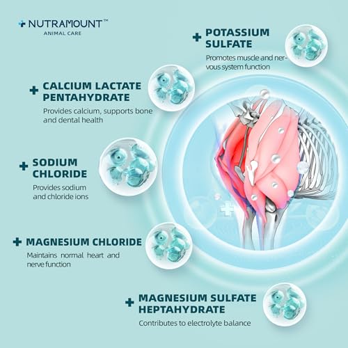 Nutramount Equine Electrolytes Supplement with Apple Flavor, Replenish Lost Minerals & Support Hydration for Horses During...