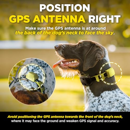 Dogtra GPS Fence – No Subscription, Custom Wireless Dog Fence with App, Smart Guidance & Return Reminder Tone/Vibration/Co...