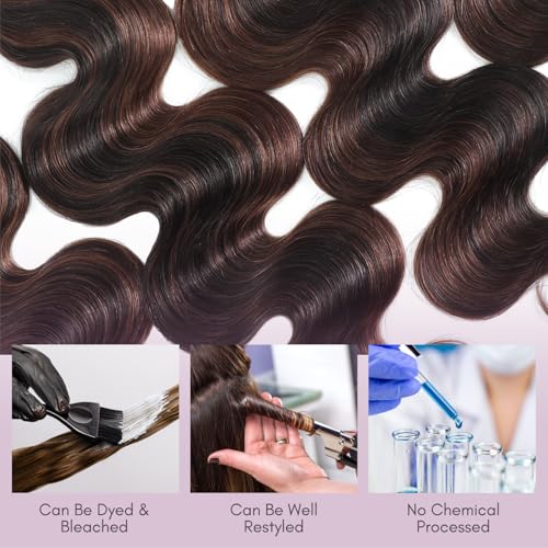 Brown Highlight Body Wave 3 Bundles Human Hair 10 12 14 Inch, 12A 2-Tone #F2/4 Dark Brown with Chestnut Streaks Ombre Human Hair Bundles 100% Virgin Real Hair Wavy Weave Thick Track Sew in Remy