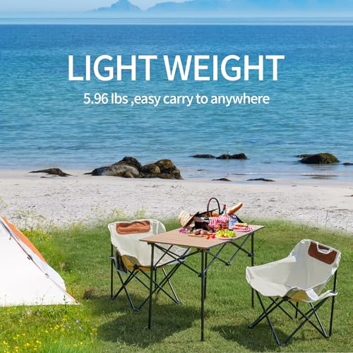 SHANQUAN 2 Pack Folding Camping Chair, Compact Camp Chair,Outdoor Lawn Portable Lightweight Backpacking Chair with Carryin...