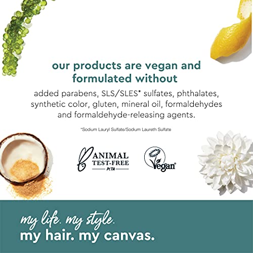 My Hair. My Canvas. Begin Again Vegan Curl Enhancing Conditioner for Curly, Wavy, and Coily Hair