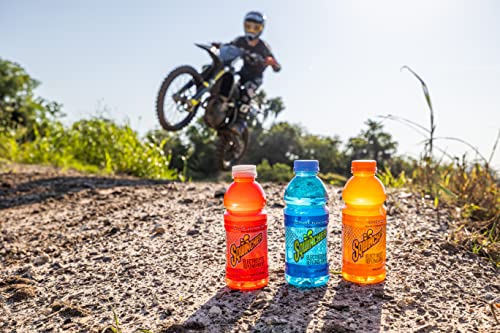 Sqwincher Activity Drink Bottles | Mixed Berry Flavored | Low Calorie | Low Sodium | Ready-To-Drink | Electrolyte Replenis...