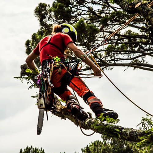 Auckyeer Tree Climbing Gear, Tree Climbing Spikes, with Adjustable Climbing Straps, Tree Climbing Spikes for Tree Work