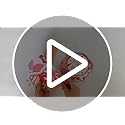 33PCS Glitter Birthday Photo Booth Props, LMSHOWOWO Rose Gold Party Photobooth Props Fun Selfie Props with Lips, Crowns, F...