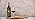 Gnarly Head Old Vine Zinfandel, 750 ml