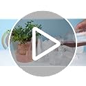 NYHI 100 Pack 9 oz Clear Plastic Cups Disposable Cocktail Bulk Wine Cups for Drinks Punch Champagne Dessert Essential Part...