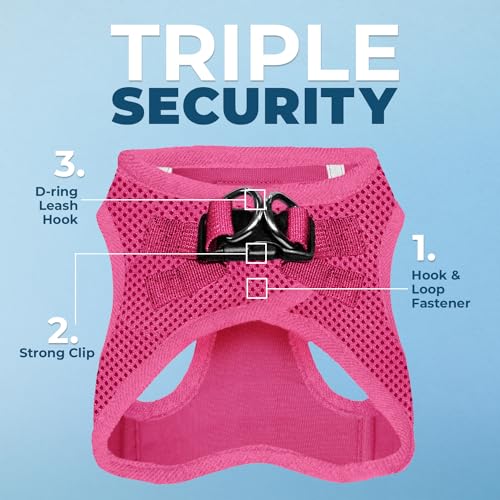 Best Pet Supplies Voyager Step-in Air Harness - All Weather Mesh, Reflective, No Pull Harness for Dogs, Cats - Secure with Hook & Loop Fastener, Buckle, Double D-Rings - Fuchsia, S