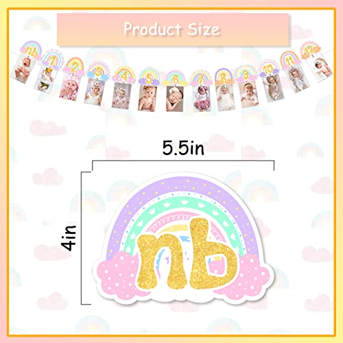 Rainbow 1st Birthday Photo Banner for Girls, from Newborn to 12 Months Growth Record Monthly Milestone Photograph Garland,...