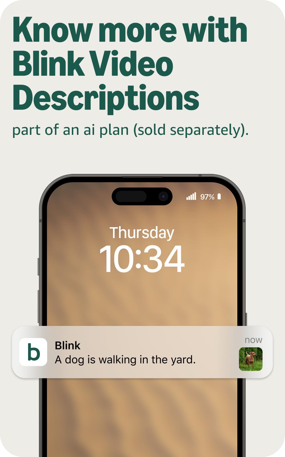 Blink Battery Doorbell 2K+ (newest model) and Mini 2K+ (newest model) — 2K video resolution, enhanced audio. Sync Module Core included. 1 Camera + Battery Doorbell 2K+ (Black)