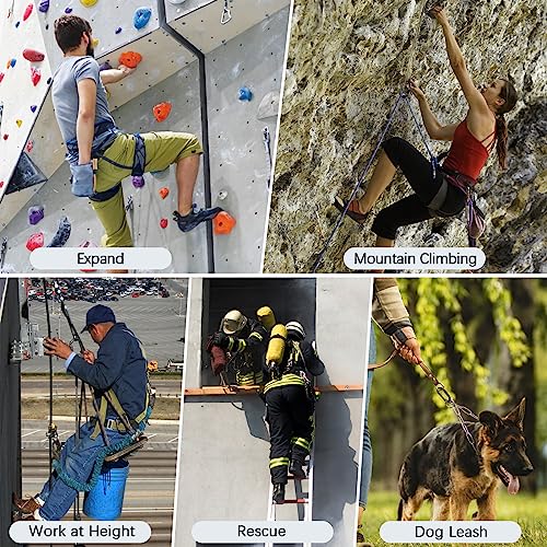 FVW CE Certified Auto Locking Climbing Carabiners, Professional 25KN (5620 lbs) Heavy Duty Caribeaners for Rappelling Swin...