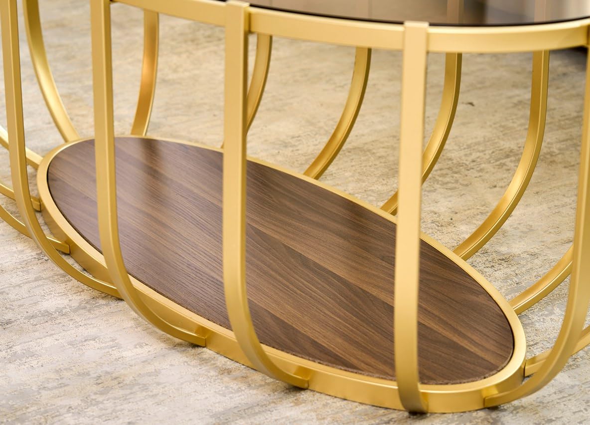 AGV LIGHTING Oval Glass Coffee Table with Gold Metal Frame, Modern Glam Glass Coffee Table, Amber Tempered Glass Top with Lower Walnut Shelf, Modern Gold Coffee Table for Living Room