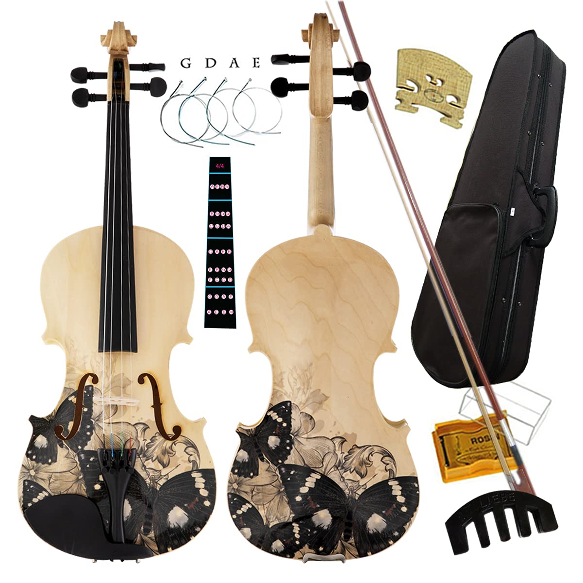 Aliyes Distinctive Artistic Violin Set Designed for Beginners/Students/adults with Hard Case,Bow,Extra Strings (4/4/Full-size) -Like New
