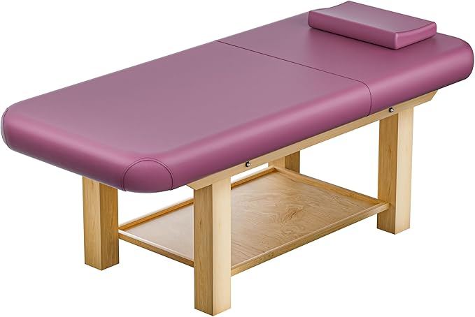 Massage Table 28IN Wide with Hight Adjustable Backrest for Treatment, Rose Red PU Leather Professional Spa Bed Load1500 LBS, Spa Table with Storage for Footmassage Facial CareSpa Tattoo