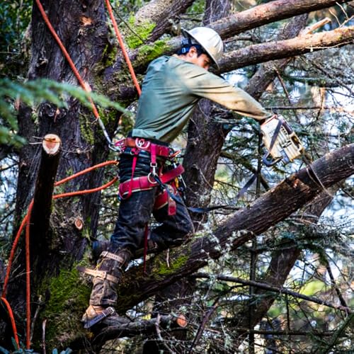 Auckyeer Tree Climbing Gear Set, Adjustable Tree Climbing Spikes Tree Climbing Tool for Tree Work