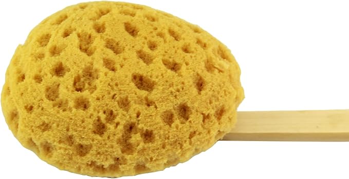 18" 2pcs Extra Long Handle Beechwood Bath Brush for Shower with Sponge - Exfoliating & Massaging Back Scrubber Bath Brush Gentle Exfoliating Lotion Applicator